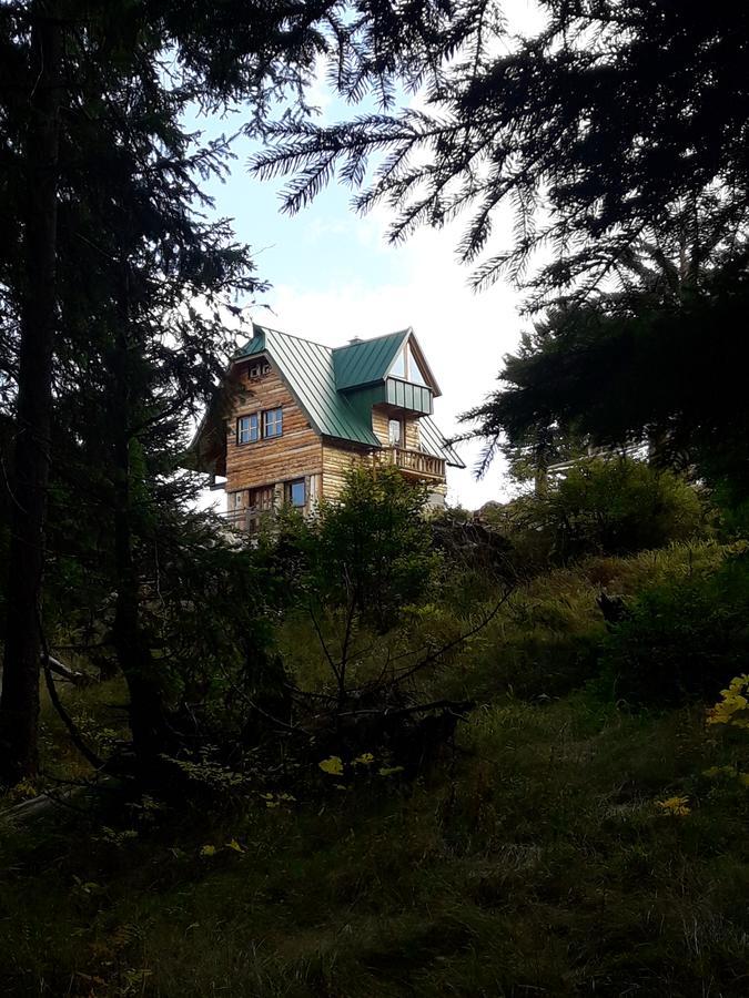 Mountain Story Apartment Zabljak  Luaran gambar