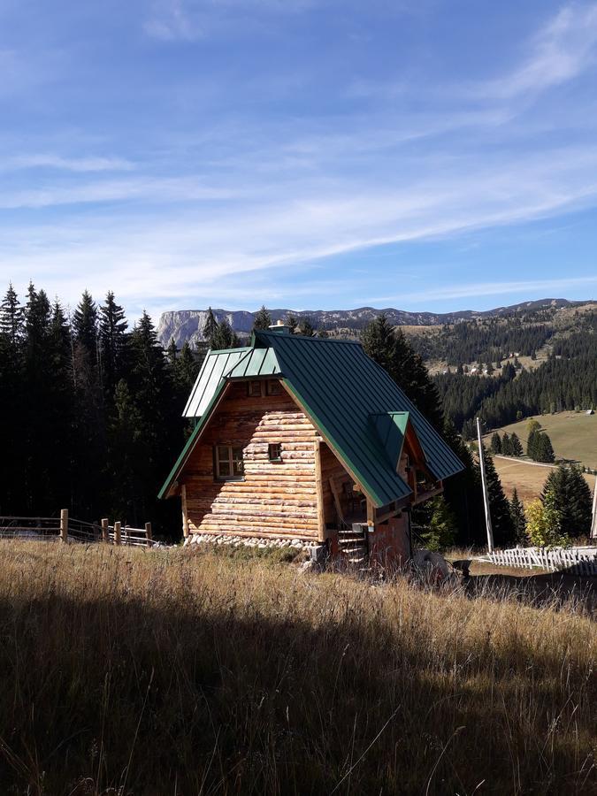 Mountain Story Apartment Zabljak  Luaran gambar